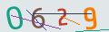 verifycode